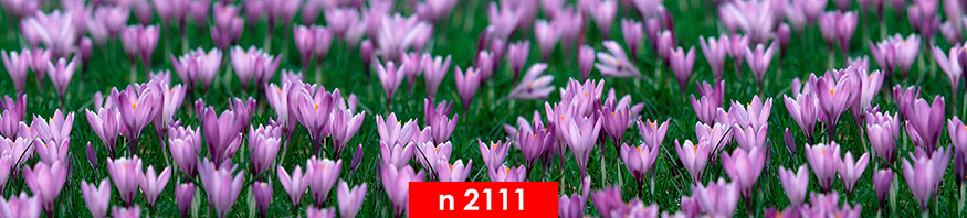 n 2111